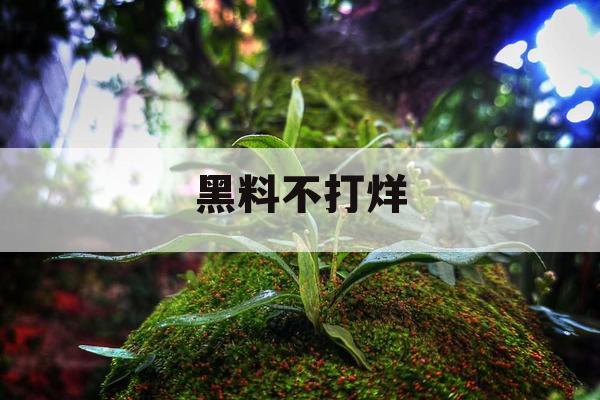 黑料不打烊