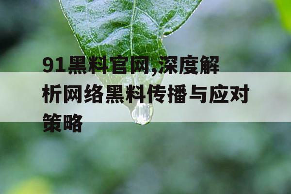 91黑料官网,深度解析网络黑料传播与应对策略