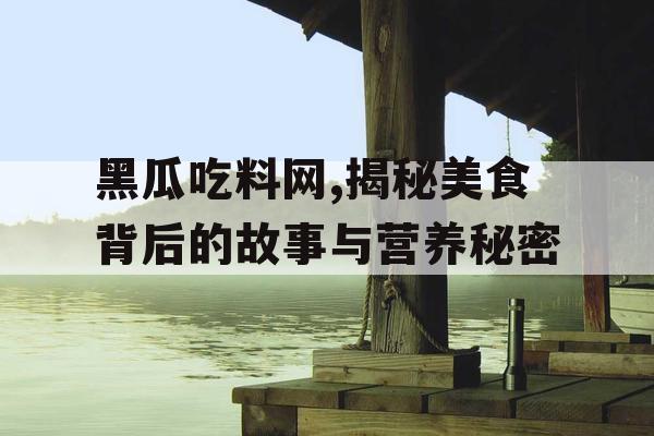黑瓜吃料网,揭秘美食背后的故事与营养秘密