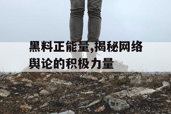 黑料正能量,揭秘网络舆论的积极力量