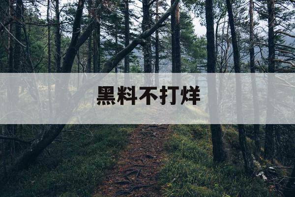 黑料不打烊