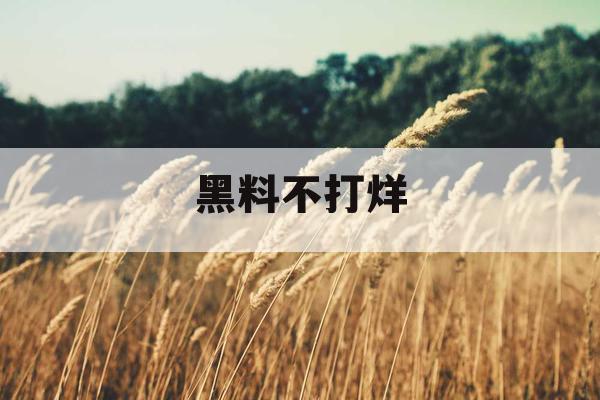 黑料不打烊