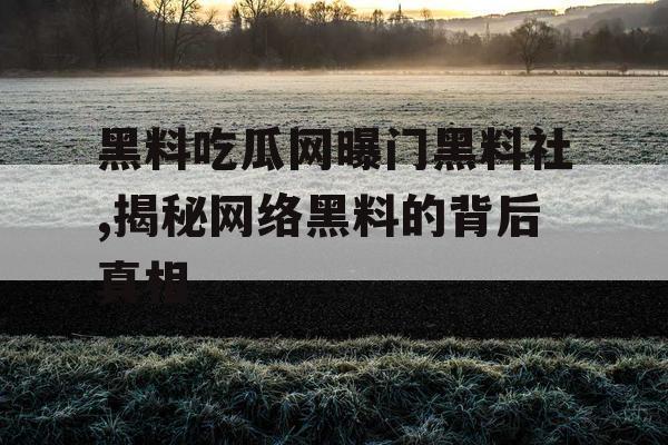 黑料吃瓜网曝门黑料社,揭秘网络黑料的背后真相
