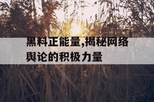 黑料正能量,揭秘网络舆论的积极力量