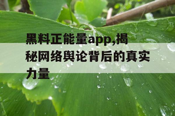 黑料正能量app,揭秘网络舆论背后的真实力量