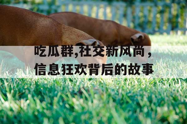 吃瓜群,社交新风尚，信息狂欢背后的故事