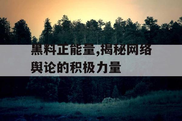 黑料正能量,揭秘网络舆论的积极力量