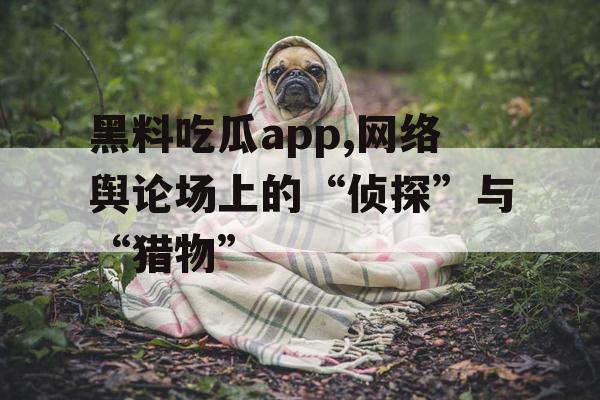 黑料吃瓜app,网络舆论场上的“侦探”与“猎物”