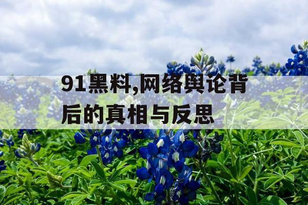 91黑料,网络舆论背后的真相与反思