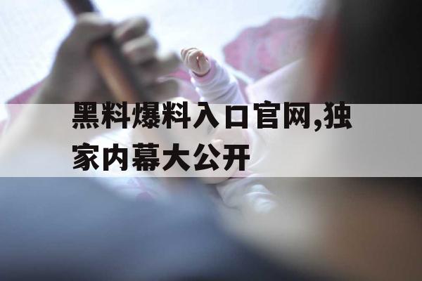 黑料爆料入口官网,独家内幕大公开