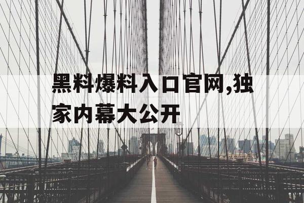 黑料爆料入口官网,独家内幕大公开