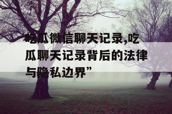 吃瓜微信聊天记录,吃瓜聊天记录背后的法律与隐私边界”