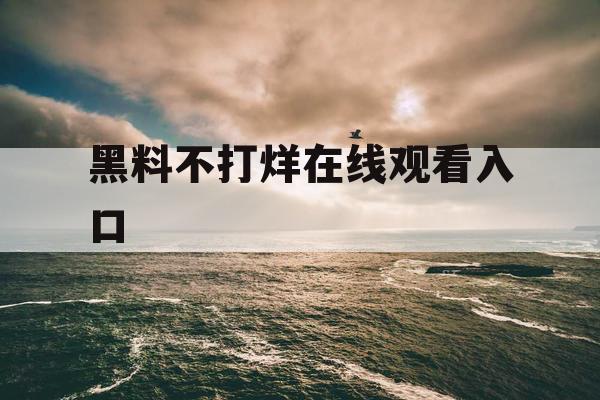 黑料不打烊在线观看入口