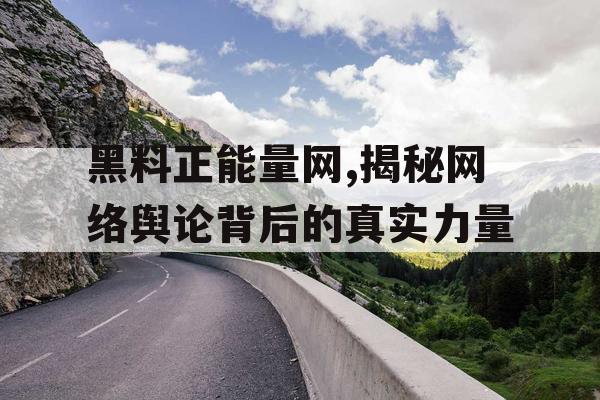 黑料正能量网,揭秘网络舆论背后的真实力量