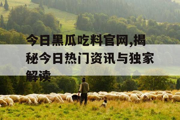 今日黑瓜吃料官网,揭秘今日热门资讯与独家解读