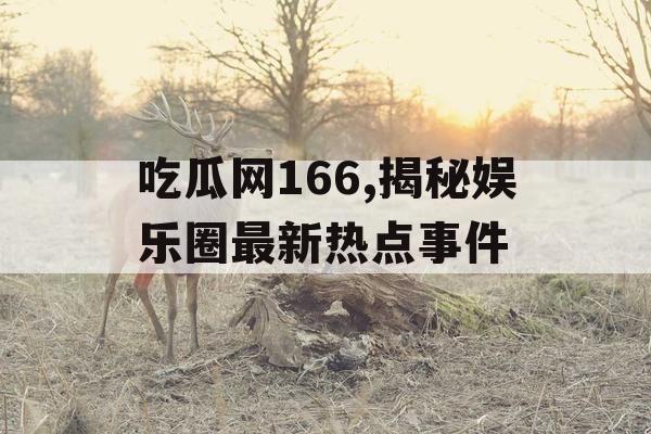 吃瓜网166,揭秘娱乐圈最新热点事件