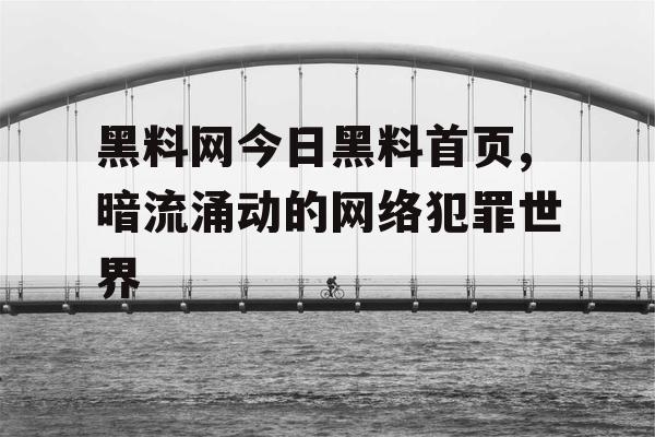 黑料网今日黑料首页,暗流涌动的网络犯罪世界