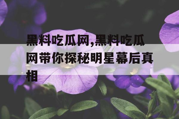 黑料吃瓜网,黑料吃瓜网带你探秘明星幕后真相
