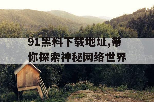 91黑料下载地址,带你探索神秘网络世界