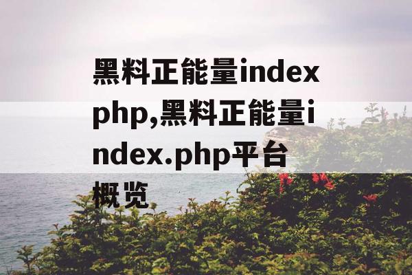 黑料正能量indexphp,黑料正能量index.php平台概览
