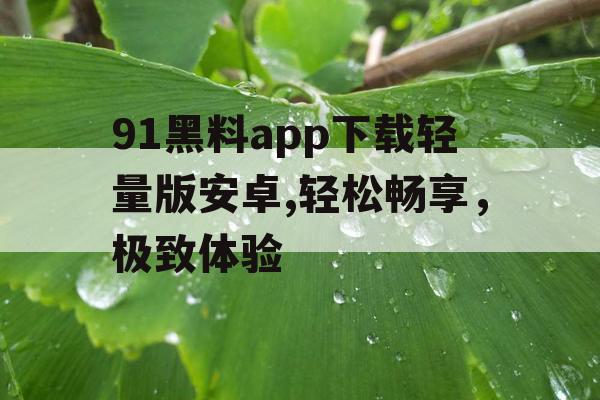 91黑料app下载轻量版安卓,轻松畅享，极致体验