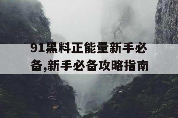 91黑料正能量新手必备,新手必备攻略指南