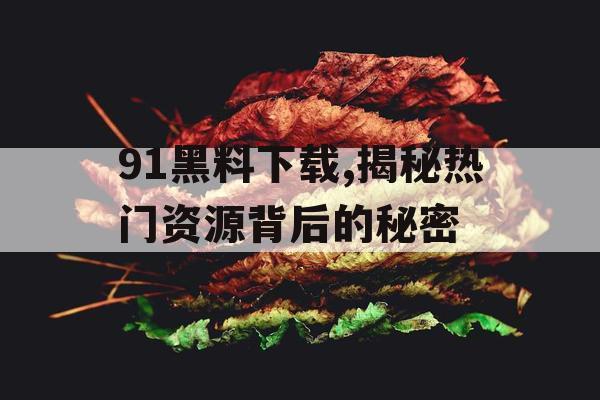 91黑料下载,揭秘热门资源背后的秘密