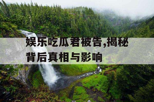 娱乐吃瓜君被告,揭秘背后真相与影响