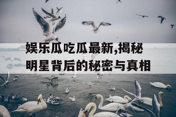 娱乐瓜吃瓜最新,揭秘明星背后的秘密与真相