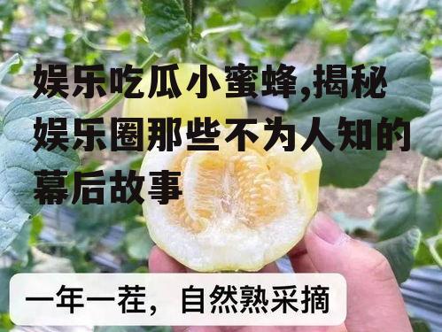 娱乐吃瓜小蜜蜂,揭秘娱乐圈那些不为人知的幕后故事