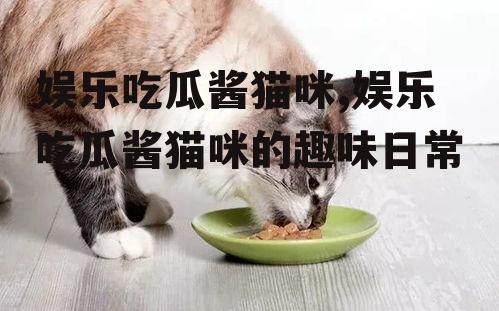 娱乐吃瓜酱猫咪,娱乐吃瓜酱猫咪的趣味日常