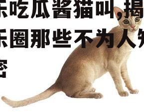 娱乐吃瓜酱猫叫,揭秘娱乐圈那些不为人知的秘密