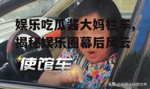 娱乐吃瓜酱大妈栏车,揭秘娱乐圈幕后风云