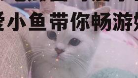 娱乐吃瓜酱可爱小鱼,可爱小鱼带你畅游娱乐圈