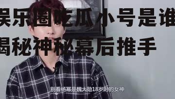 娱乐圈吃瓜小号是谁,揭秘神秘幕后推手