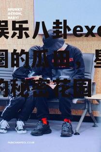 吃瓜娱乐八卦exo,娱乐圈的瓜田，星光璀璨下的秘密花园