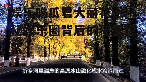 娱乐吃瓜君大丽花,揭秘娱乐圈背后的秘密花絮