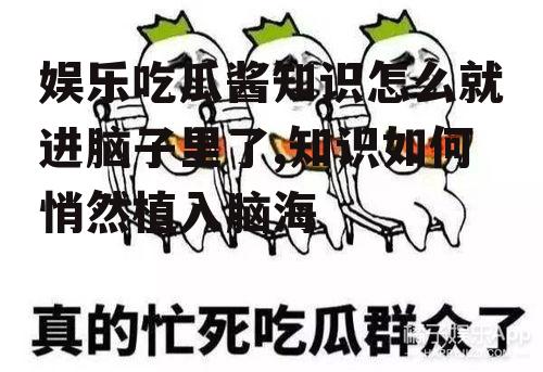 娱乐吃瓜酱知识怎么就进脑子里了,知识如何悄然植入脑海