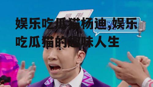 娱乐吃瓜猫杨迪,娱乐吃瓜猫的趣味人生