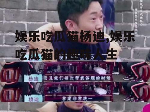 娱乐吃瓜猫杨迪,娱乐吃瓜猫的趣味人生