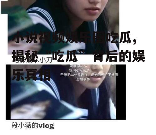 小说视频娱乐圈吃瓜,揭秘“吃瓜”背后的娱乐真相