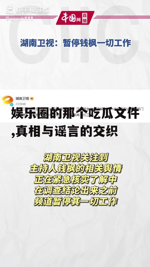 娱乐圈的那个吃瓜文件,真相与谣言的交织