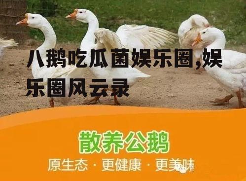 八鹅吃瓜菌娱乐圈,娱乐圈风云录