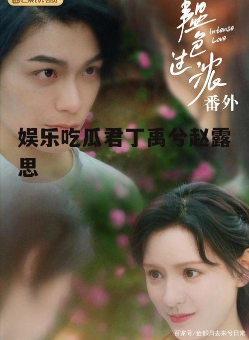 娱乐吃瓜君丁禹兮赵露思