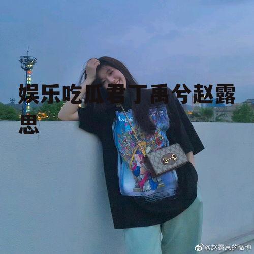 娱乐吃瓜君丁禹兮赵露思