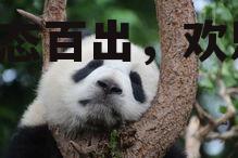 娱乐吃瓜大熊猫视频大全,萌态百出，欢乐无限
