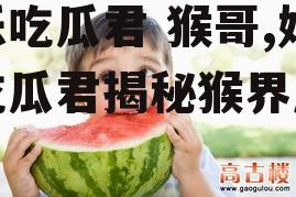 娱乐吃瓜君 猴哥,娱乐吃瓜君揭秘猴界风云