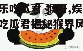 娱乐吃瓜君 猴哥,娱乐吃瓜君揭秘猴界风云