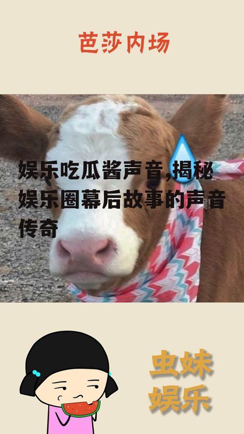 娱乐吃瓜酱声音,揭秘娱乐圈幕后故事的声音传奇