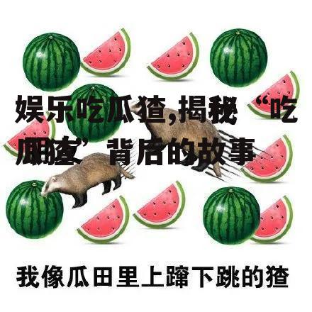 娱乐吃瓜猹,揭秘“吃瓜猹”背后的故事